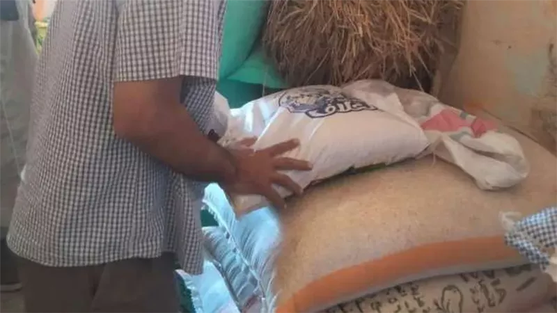  التقاوى المغشوشة