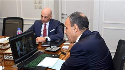 وزير الخارجية: مصر تستهدف من تحركاتها الدبلوماسية تحقيق الأمن والاستقرار لدول الجوار