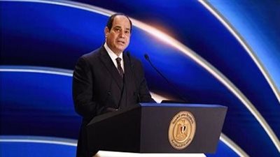 السيسي: مستمرون في جهود وقف إطلاق النار وإنفاذ المساعدات الإنسانية لـ غزة