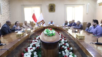 خطة شاملة لتوطين صناعة الحرير الطبيعي وتدريب الكوادر الشابة بالوادي الجديد 