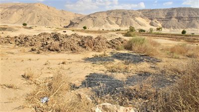 محافظ أسيوط يتفقد 79 فدانا يصلحون للاستصلاح الزراعي بالظهير الصحراوي (صور)