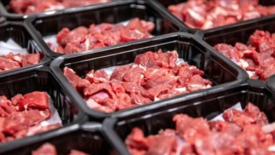 انخفاض أسعار لحوم «البتلو» بالأسواق اليوم الإثنين 4/11/2024