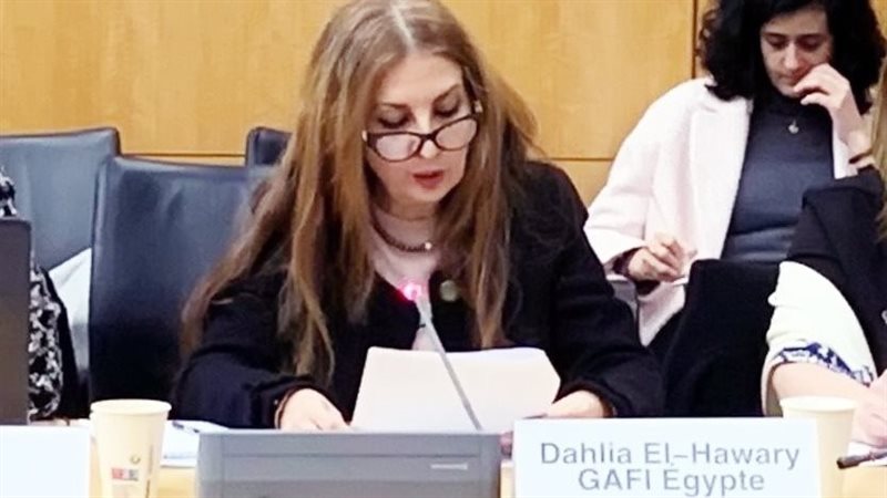 داليا الهواري أثناء