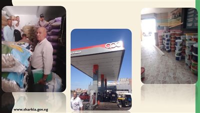 تموين الشرقية: حملات رقابية مشددة على الأنشطة التجارية 