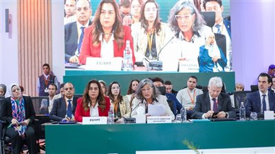 وزيرة التنمية المحلية: تمكين المحليات في قيادة التنمية المستدامة