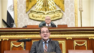 تقرير برلماني يكشف أسباب الإذن لوزير المالية بضمان شركة مصر للألومنيوم 