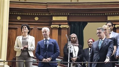 مبعوث الاتحاد الأوروبي لحقوق الإنسان يحضر الجلسة العامة لـ النواب