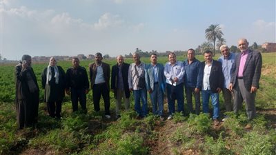 زراعة الشرقية: تكثيف المرور لمتابعة الجمعيات والإدارات الزراعية 