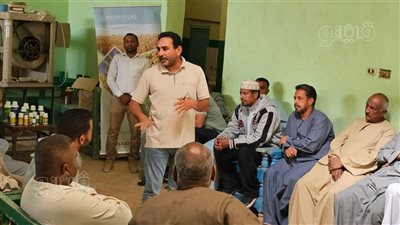 «تعزيز الأعمال الزراعية» ينظم ندوة لتحسين إنتاجية القمح بالأقصر (صور) 