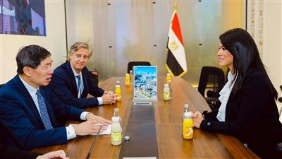 المشاط تُشيد بالشراكة المُثمرة مع UNDP في العديد من المبادرات والبرامج 