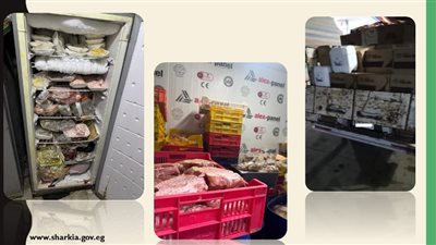 تموين الشرقية: ضبط 13 طن مواد غذائية وأعلاف مجهولة المصدر 