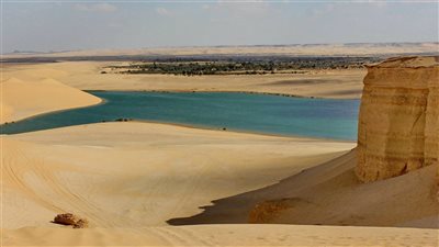 حالة الطقس غدا الخميس 7-11-2024 في محافظة الفيوم 