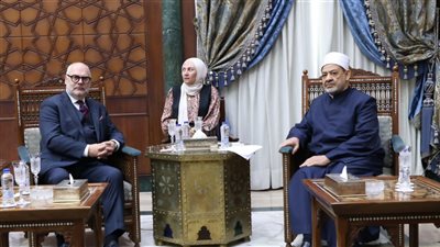 شيخ الأزهر لرئيس إستونيا: ما يحدث في غزة من مجازر لا يمكن وصفها 