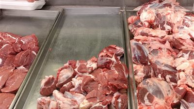 ارتفاع البتلو وانخفاض الكندوز، أسعار اللحوم اليوم في الأسواق