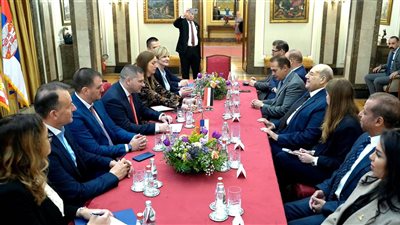 رئيس الشيوخ يدعو لتعزيز التعاون الثقافي والرياضي والاقتصادي بين مصر وصربيا