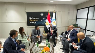 بدوى يبحث مع رئيس 