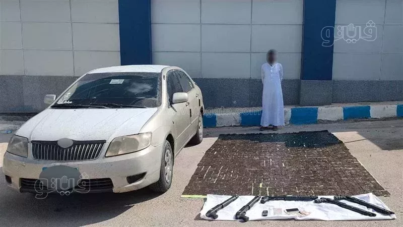 مخدر الحشيش, فيتو