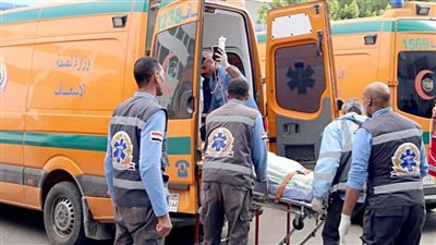 مصرع مسن صدمه ميكروباص