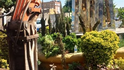 تجميل الميادين بالأشجار والزرع في الأقصر (صور)