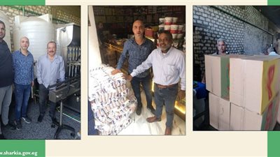 رئيس مدينة منشأة أبو عمر في الشرقية يتفقد أعمال النظافة بالشوارع 