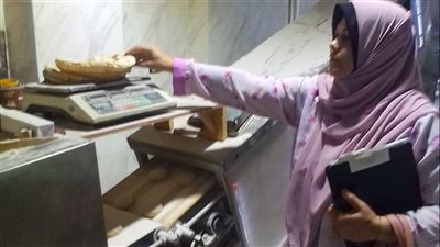 محافظ الدقهلية يحيل 412 محضر مخالفات تموينية للنيابة العامة 