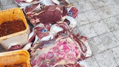 ضبط لحوم وأسماك غير صالحة للاستهلاك الآدمي في سوهاج