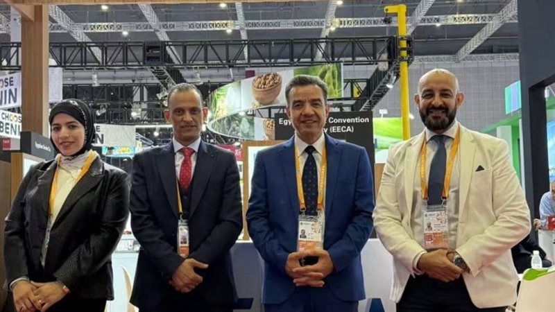 معرض الصين للاستيراد،
