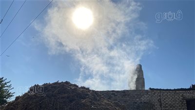 من تراث الأجداد إلى أيدي الأحفاد.. العسل الأسود أشهر صناعات المنيا.. مراحل العصر والتصنيع.. وهذه أبرز فوائده (فيديو وصور) 