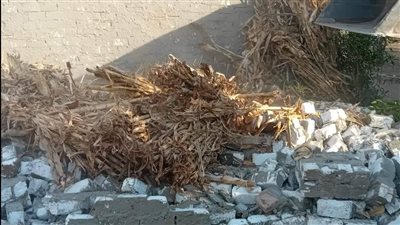 حملات إزالة التعديات على الأرض الزراعية في أجا بالدقهلية (صور)