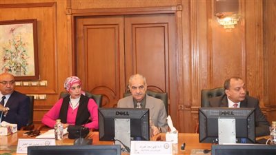 رئيس جامعة الأقصر تشارك في الاجتماع الدوري لـ الأعلى لشئون التعليم