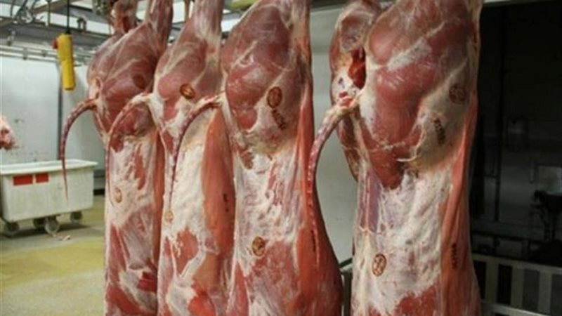 أسعار اللحوم الكندوز