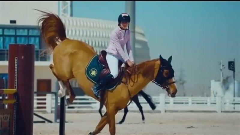 قبول خريجى الجامعات
