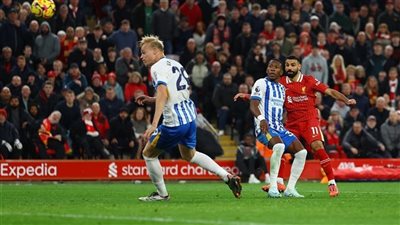 حصاد الدوري الإنجليزي بعد الجولة الـ11.. أرقام استثنائية لليفربول.. توتنهام يتفوق على كبار البريميرليج.. وهالاند يبتعد بصدارة الهدافين