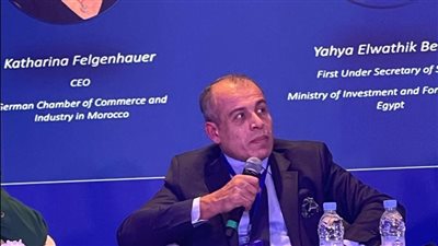 رئيس التمثيل التجاري: مصر تلقت العديد من الاستثمارات الأوروبية