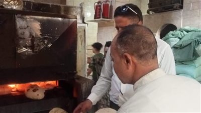 تحرير 220 محضر مخالفات تموينية بالمنوفية