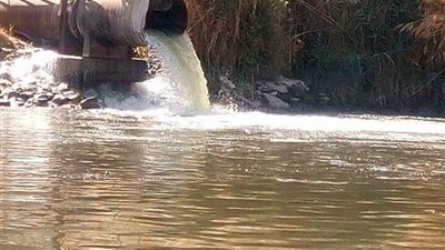 عقوبة إلقاء مواد سامة في مياه النيل