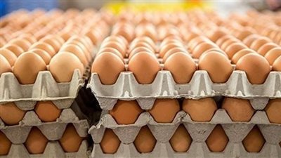 التموين: استمرار ضخ البيض التركي بالمجمعات بسعر 150 جنيها للطبق