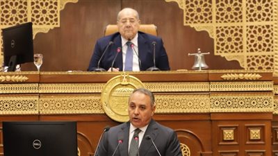 برلماني يستعرض جهود مكاتب العمل الخارجية لصالح المصريين