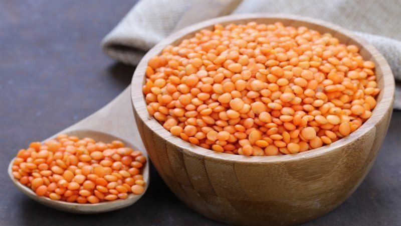  اسعار العدس