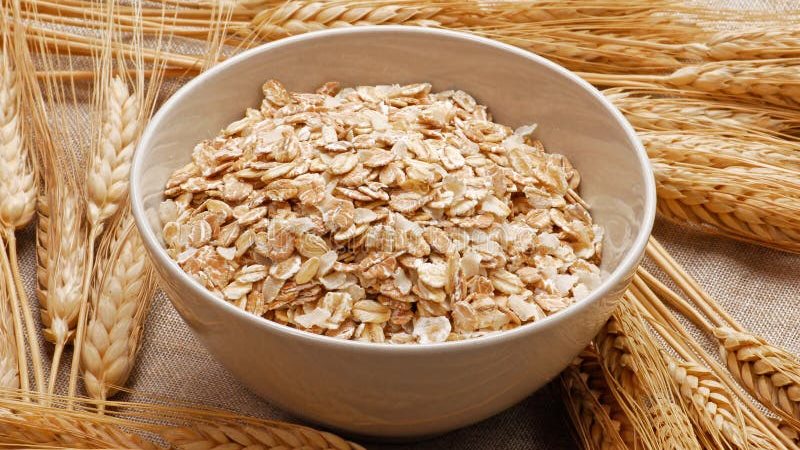أسعار الشوفان اليوم،