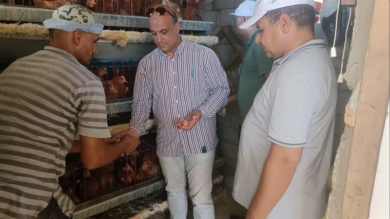 حملة اسأل خبير، فيتو