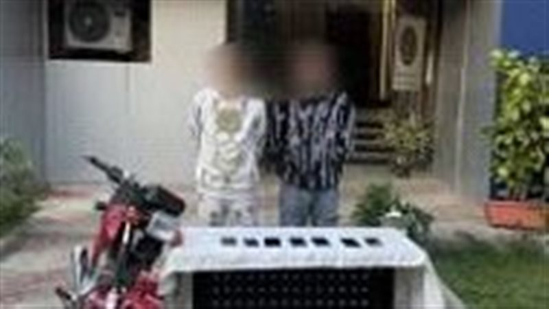 حبس تشكيل عصابي،