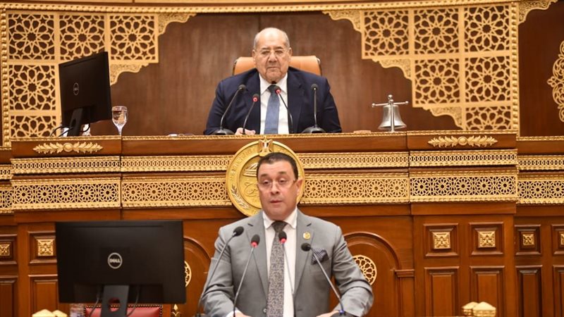 النائب هشام الحاج