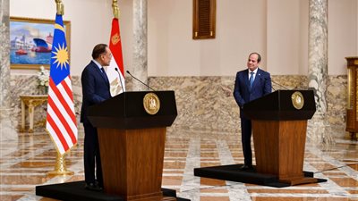  السيسي يؤكد أهمية منع انزلاق المنطقة لحرب إقليمية واسعة 