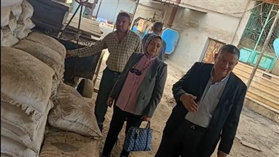 ضبط أطنان من المواد الغذائية منتهية الصلاحية في حملة صحية بالدقهلية