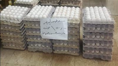 توزيع 2770 طبق بيض بـ150 جنيها في المجمعات الاستهلاكية بالجيزة اليوم