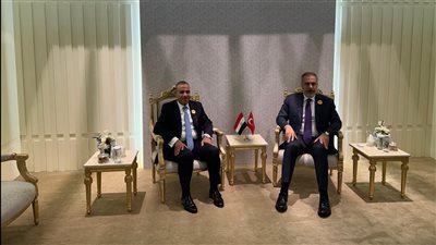 وزير الخارجية ونظيره التركى يبحثان زيادة حجم التبادل التجارى لـ ١٥ مليار دولار