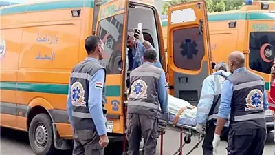 مصرع شخص اختل توازنه وسقط من قطار في الدقهلية