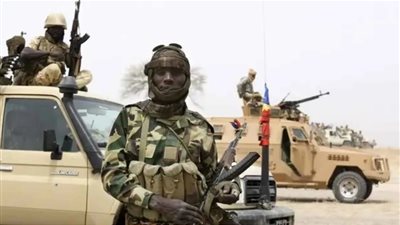 مقتل 15 جنديًا تشاديًا في عملية ضد بوكو حرام