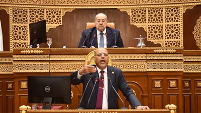 وزير العمل يكشف أمام الشيوخ جهود التأمين الصحي والاجتماعي لعمال التراحيل